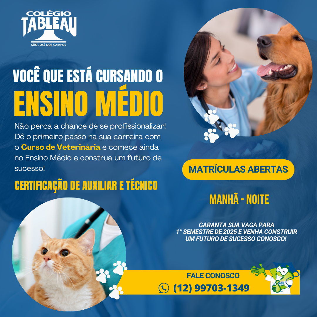 TÉC VET ENSINO MÉDIO Post TÉC VET ENSINO MÉDIO Post